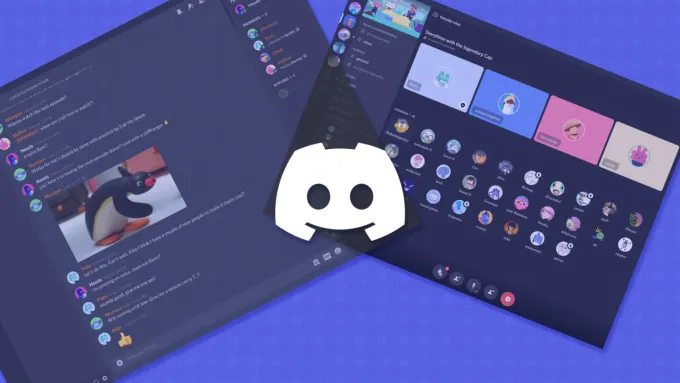 Discord growth services