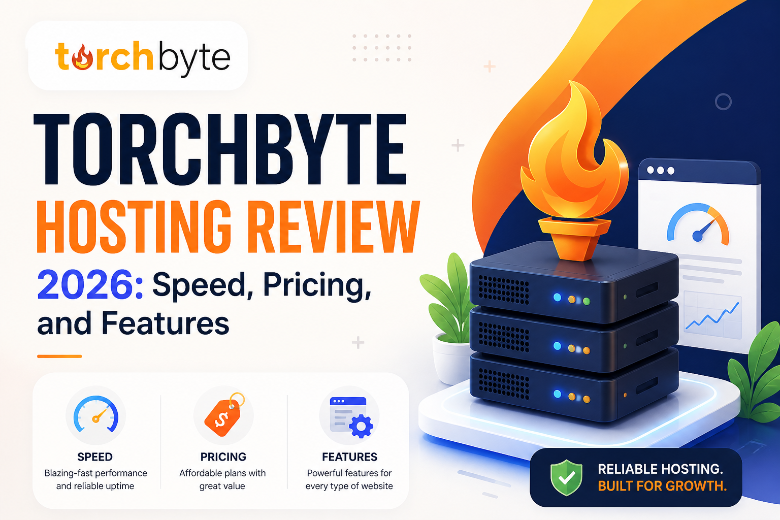 Torchbyte.com: A Detailed Analysis of a Modern Hosting Platform